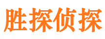 龙马潭找人公司